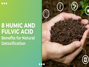 What Does Fulvic Acid Powder Do?